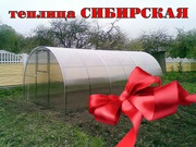 Купить теплицу «Сибирская» из сварной оцинкованной трубы 8x3x2