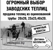 Теплицы из оцинкованной трубы 20х20, 25х25, 40х20 Доставка.